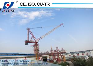 China 8ton 40m Jib Mini Luffing Jib Tower Crane QTD80(4015) with Low Price factory