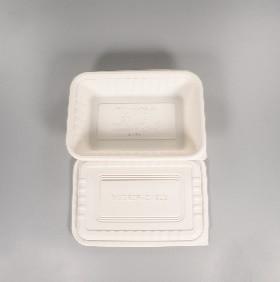 China Compostable 1000ml 34oz PLA Tableware with lid 230x160x48cm factory