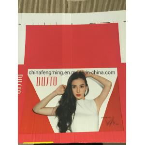 Salad Box Flexo Printing Machine with 286-1200mm Printing Repeat and Ceramic