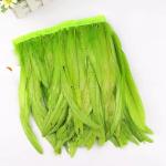 Carnival costumes rooster coque feather fringe trimming