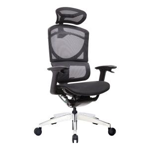 China Double Back Ergo Mesh Back Office Chair Ergonomic Executive Swivel factory