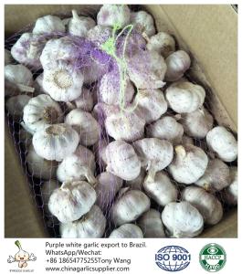 China China garlic to Brazil factory