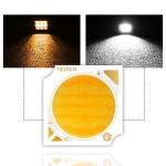 1919 Dual Color Cob Led Chip 18w 25w 2800K 6500K IF 450mA/700mA for Photography