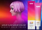 Natural Glossy 100ml Permanent Hair Color Cream