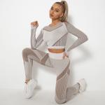 Hygroscopic Womens Long Sleeve Gym Set Hollow Seamless Yoga Gym Set