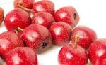 Hawthorn Fruit P.E. Total flavone5%-90%, Cardiovascular Health ,Promoting digest