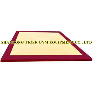 China Gymnastics Equipment Gymnastics Artistic Floor factory