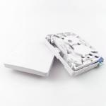 FTTH Network Indoor Installation 2 Cores Fiber Optic Faceplate Socket Panel with