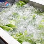 3KW Circumvolving Fruit And Vegetable Cleaning Machine , Sedimentation Tank