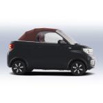 2024 Wuling Micro EV 3 Door 2 Seat Electric Car with 13.8kwh Battery Capacity