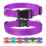 Woven Logo Puppy Flashing Collar