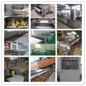 China industrial biscuit production line factory