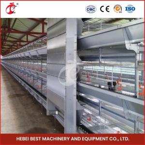 China Poultry Farms 20000 Egg Laying Hens A/H Type Automatic Chicken Cage Mia factory