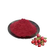 HALAL Fruit Cranberry Juice Powder Good Fluidity Easy To Dissolve