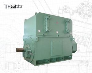 China Industrial High Voltage Motors 6000v-11000v 2 Poles for Optimal and Performance factory