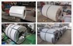 0.35*1219mm Size Ral 9003 Prepainted Galvanized PPGI Steel Coil Grade DX51D Z