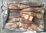 Peru Giant Frozen Squid Tubes 500-100 Dosidicus Gigas Bqf Good Freshness