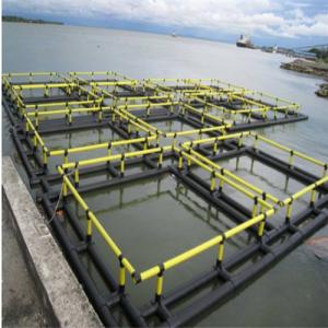China Blue Yellow Floating Fish Cage Butt Fusion / Bracket Connection For Sea Farming factory