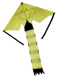 China Children Playing 30m Line Nylon Delta Wing Kite factory
