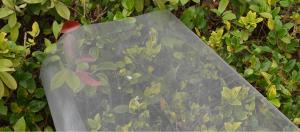 China Pvc Coated 18x16 Fiberglass Netting Mesh , 90g/M2 Fiberglass Screen Material factory