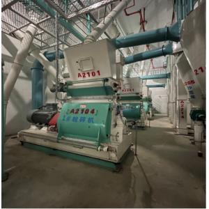 China 10T/H 15T/H High Capacity Poultry Feed Production Line / Poultry Feed Plant /Poultry Processing Equipment Turnkey Solution on sale
