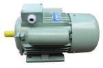 Single Phase Induction Motor 0.37 KW 0.6 HP 50HZ For Water Pumps Driving