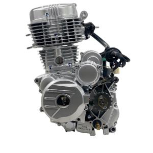 China DAYANG 150cc/200cc/250cc/300cc Water Cooling And Air Cooled Engine For Three Wheel Motorcycle/ Cargo Tricycle factory