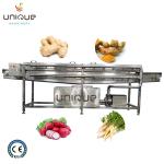 High Pressure Ginger Turmeric Taro Yam Malanga Spraying Washing Machine for