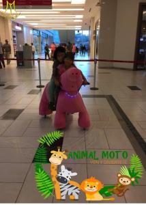 China Hansel indoor amusement park rides unicorn electric scooter with battery factory