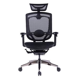 China Marrit Lumbar Support Mesh Office Chairs Ergonomic Racing Computer Height Headrest factory