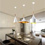 LED Metal Wood Nordic Modern Pendant Light Restaurant Creative Decorative
