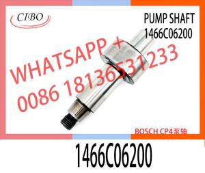 China Remanufactured quality camshaft 1466C06200 For oil pump factory