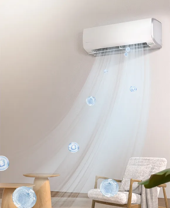 Self-cleaning Function