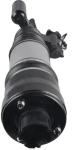 2113209513 Air Suspension Parts Air Suspension Strut