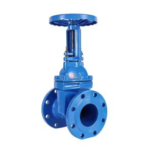 China PN10 Ductile Iron Body 100mm Handwheel Soft Seal Rising Stem Elastic Gate Valve factory