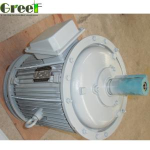 China 3 Phase AC Free Energy Permanent Magnet Alternator 1MW 2MW 3MW 5MW factory