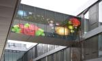 1R1G1B Transparent Glass Led Screen P5.6mm