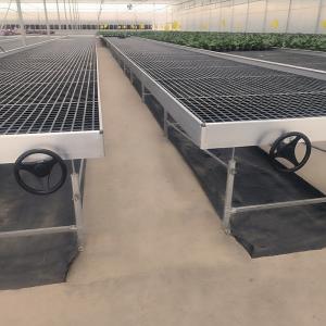 Soilless Hydroponic Indoor Ebb And Flood Seedbed Nursery Grow Table Rolling