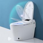 Luxury Bathroom Sensor Electric Automatic Flush Wc Bidet Intelligent Smart