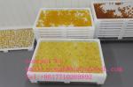 Laboratory Pharmaceutical Machinery For Softgel