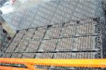 Automatic Pulp Molding Paper Egg Tray Forming Machine 6000-8000PCS/H