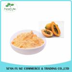 Beverage Ingredient Dry Papaya Fruit Extract Powder