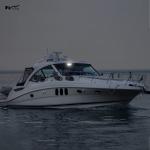 Marine Dome LED Cabin Light Waterproof White Stainless Steel Surface Mount 12V 6