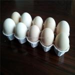 Large Output Egg Box Forming Machine Waste Paper Tray Packaging