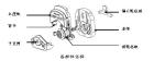 YZ1515 pump head