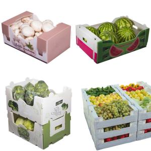 China Corn Corflute Box Vegetable Corrugated Boxes Recyclable Custom Size factory