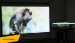 Multimedia Languages Cinema HDMI Projector Native 1920x1080p Resolution Built In