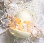Household USB Charging Carousel Night Light ABS PC silicone