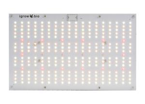 China High PPFD CE IP65 Dimmable LED Grow Lights factory