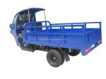 Motorized Cargo Tricycle 250cc 2015 3 Wheel Motorcycle with Motorized Driving